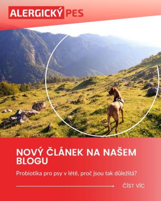 🌞 Nový článek na blogu! Probiotika pro psy v létě: proč jsou tak důležitá? Léto je plné změn ať už jde o cestování,...