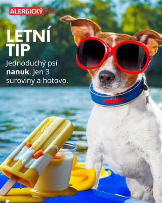 🐾 Rychlý psí nanuk 🐾 Ingredience: 1 banán 2 lžíce bílého jogurtu (bez cukru) pár kousků mrkve nebo jablka (volitelné)...