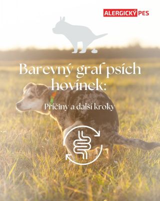 💩 Co napoví barva psího hovínka? I obyčejné hovínko může prozradit mnoho o zdraví psa. 🐾 Změna barvy nebo konzistence může...