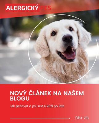 🐾 Nový článek na blogu! Suchá kůže, svědění nebo matná srst? 🍂 Připravili jsme pro vás průvodce péčí o srst a kůži psů,...