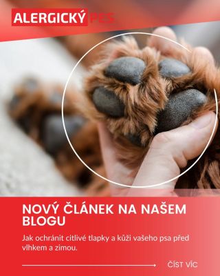 Podzim a citlivé tlapky 🍁🐾 Podzimní vlhko a bláto dávají tlapkám i kůži pořádně zabrat. Po procházce pomůže tlapky osušit,...